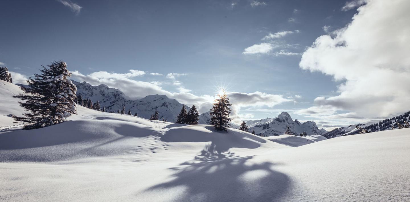 Schneelandschaft in Warth-Schröcken (c) Warth-Schröcken Tourismus Sebastian Stiphout