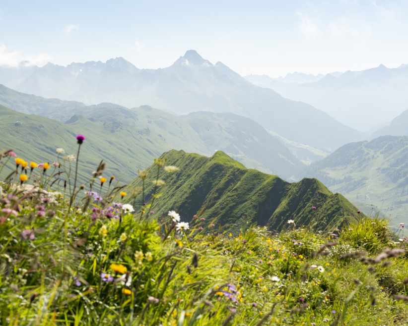 Bergwiese mit Gipfel rund um das Berghotel Körbersee (c) Johannes Fink