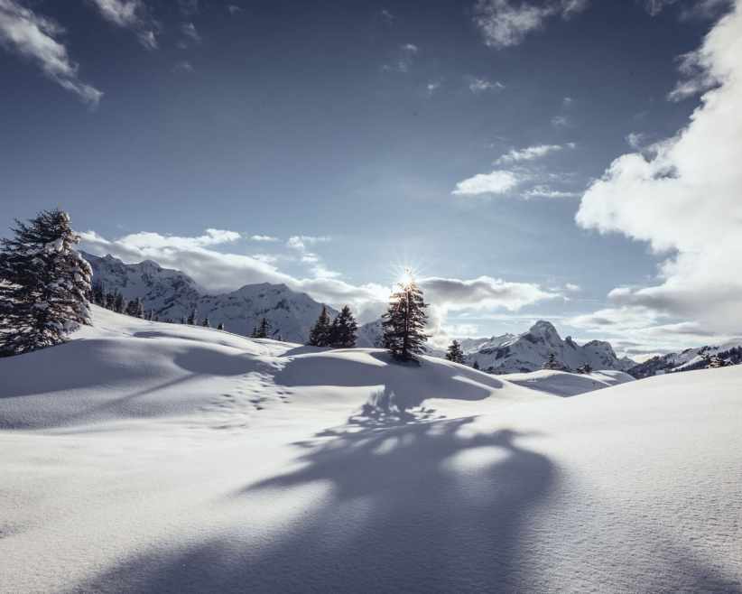 Schneelandschaft in Warth-Schröcken (c) Warth-Schröcken Tourismus Sebastian Stiphout