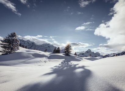 Schneelandschaft in Warth-Schröcken (c) Warth-Schröcken Tourismus Sebastian Stiphout