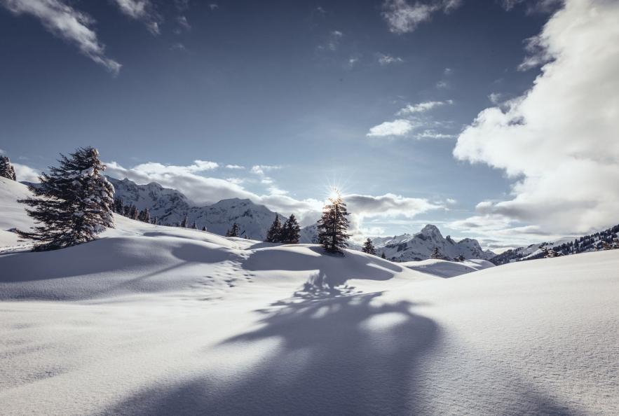 Schneelandschaft in Warth-Schröcken (c) Warth-Schröcken Tourismus Sebastian Stiphout