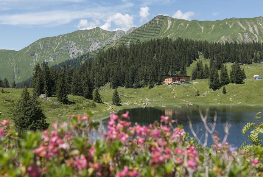 Sommer am Körbersee