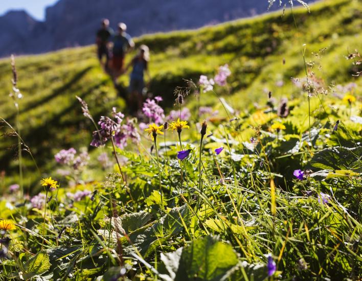 Wandern 5 Warth Schröcken © Warth Schröcken Tourismus