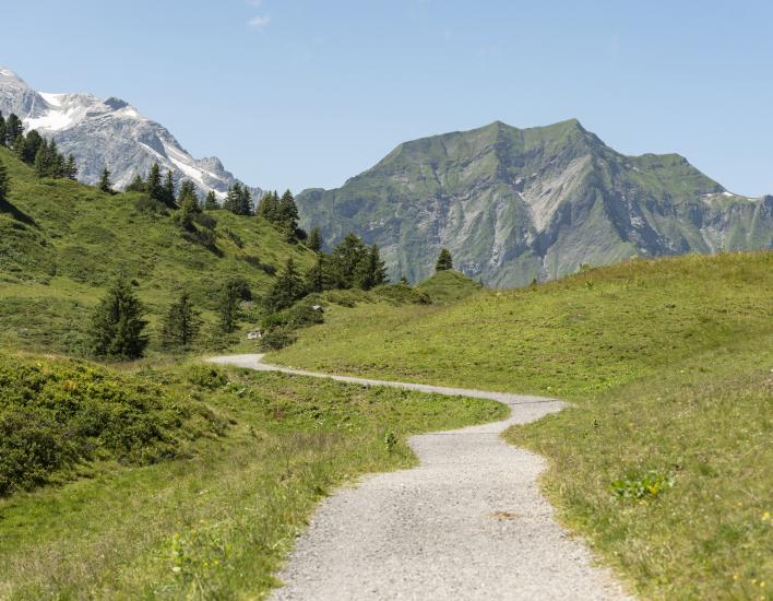 Weg zum Berghotel Körbersee (c) Johannes Fink