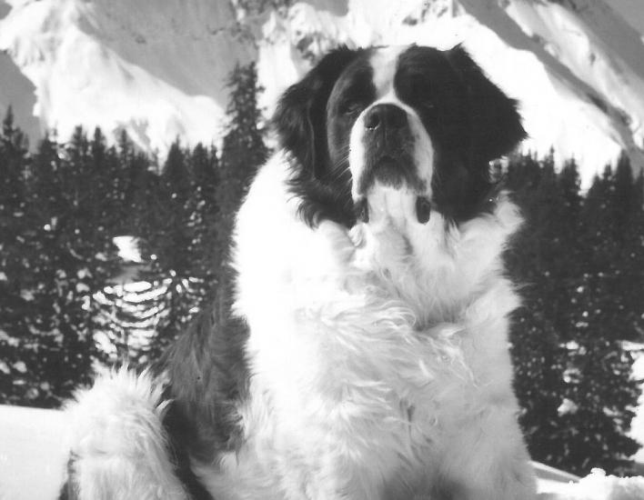 Barry I vor dem Berghotel Körbersee im Schnee