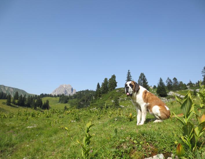 Barry V am Körbersee 